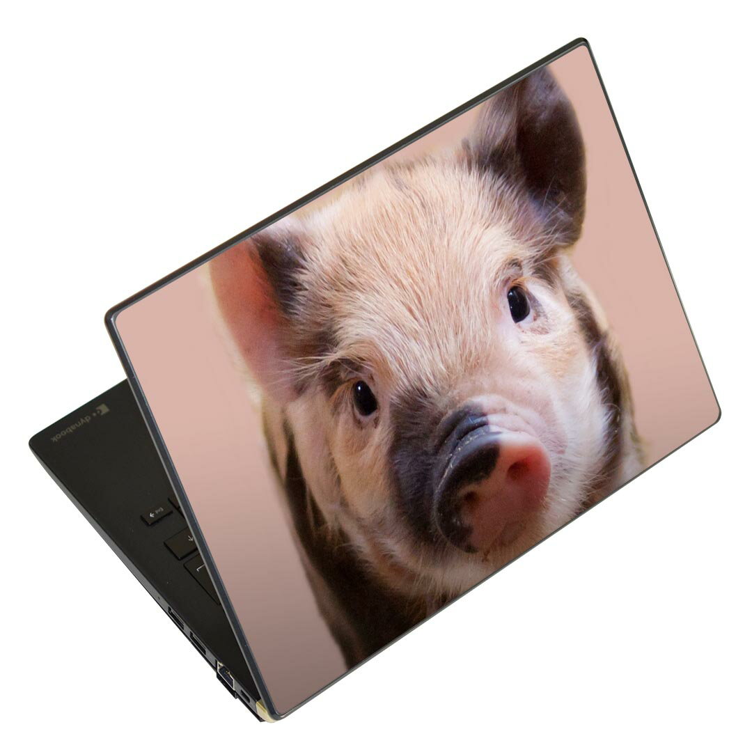 ノートパソコン スキンシール 13.3イ