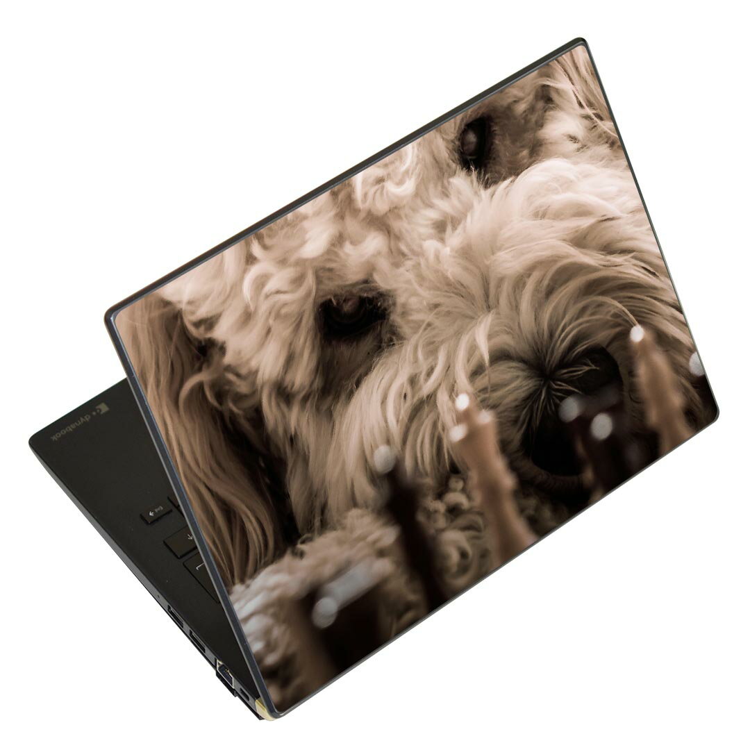 ノートパソコン スキンシール 13.3イ