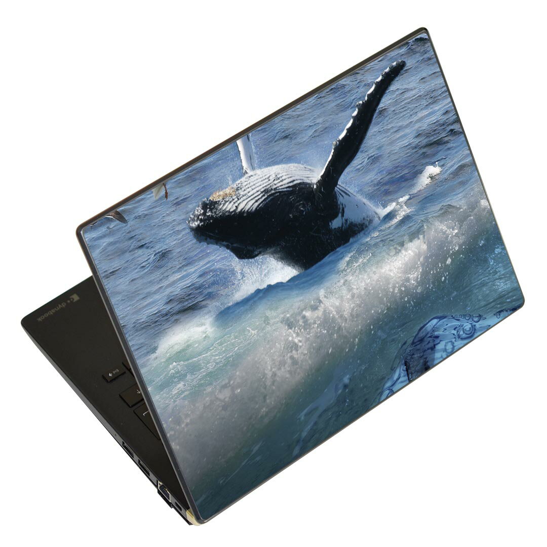 ノートパソコン スキンシール 13.3インチまで対応 汎用ステッカー 2枚セット LAVIE用 FMV用 LIFEBOOK用 Dynabook用 Lenovo用 Thinkbook用 IdeaPad用 HP用 Pavillon用 ENVY用 Elite用 Dell用 Vostro用 Inspiron用 VAIO用 004897 海 鯨 写真