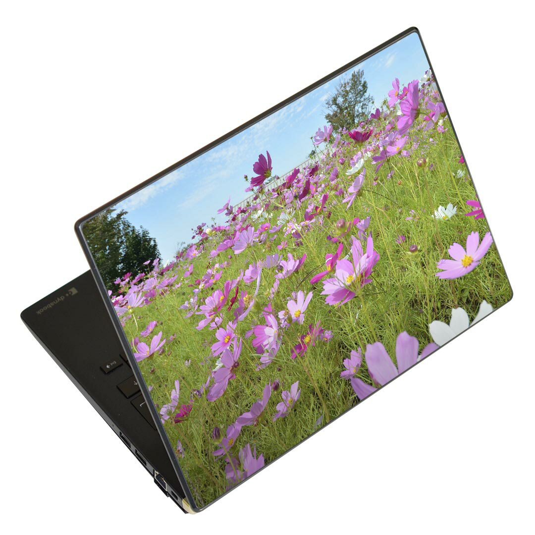 ノートパソコン スキンシール 17イ�