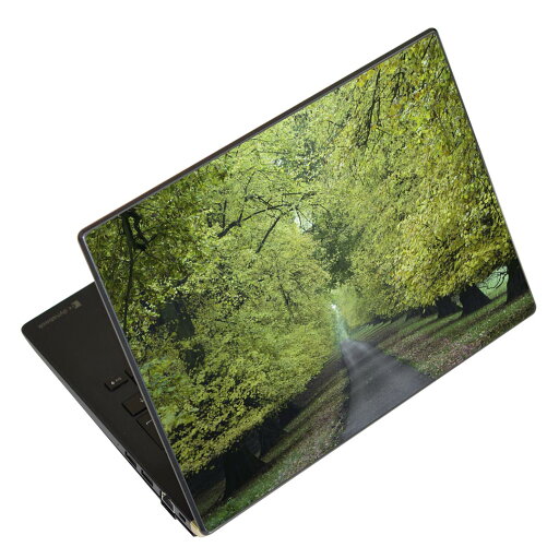 ノートパソコン スキンシール 13.3インチまで対応 汎用ステッカー 2枚セット LAVIE用 FMV用 LIFEBOOK用 Dynabook用 Lenovo用 Thinkbook用 IdeaPad用 HP用 Pavillon用 ENVY用 Elite用 Dell用 Vostro用 Inspiron用 VAIO用 005917 写真 並木道 ノートパソコン スキンシール 13.3インチまで対応 汎用ステッカー 2枚セット LAVIE用 FMV用 LIFEBOOK用 Dynabook用 Lenovo用 Thinkbook用 IdeaPad用 HP用 Pavillon用 ENVY用 Elite用 Dell用 Vostro用 Inspiron用 VAIO用 005917 写真 並木道