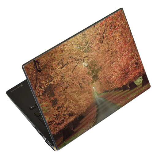 ノートパソコン スキンシール 17インチまで対応 汎用ステッカー 2枚セット LAVIE用 FMV用 LIFEBOOK用 Dynabook用 Lenovo用 Thinkbook用 IdeaPad用 HP用 Pavillon用 ENVY用 Elite用 Dell用 Vostro用 Inspiron用 VAIO用 005919 写真 秋 並木道 ノートパソコン スキンシール 17インチまで対応 汎用ステッカー 2枚セット LAVIE用 FMV用 LIFEBOOK用 Dynabook用 Lenovo用 Thinkbook用 IdeaPad用 HP用 Pavillon用 ENVY用 Elite用 Dell用 Vostro用 Inspiron用 VAIO用 005919 写真 秋 並木道