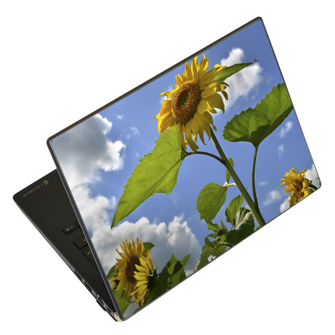 ノートパソコン スキンシール 13.3インチまで対応 汎用ステッカー 2枚セット LAVIE用 FMV用 LIFEBOOK用 Dynabook用 Lenovo用 Thinkbook用 IdeaPad用 HP用 Pavillon用 ENVY用 Elite用 Dell用 Vostro用 Inspiron用 VAIO用 011366 花 ひまわり 写真