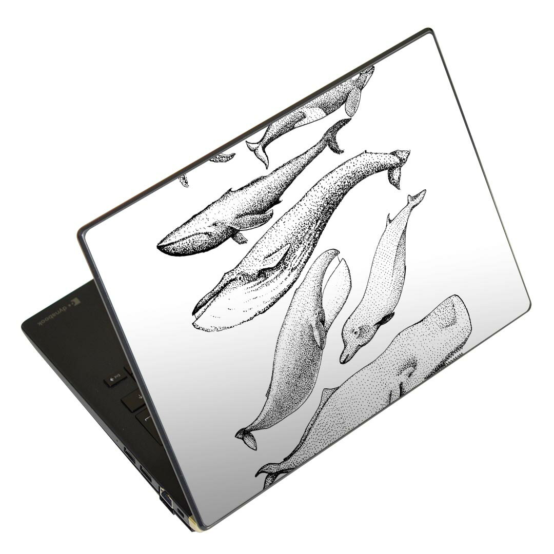 ノートパソコン スキンシール 13.3インチまで対応 汎用ステッカー 2枚セット LAVIE用 FMV用 LIFEBOOK用 Dynabook用 Lenovo用 Thinkbook用 IdeaPad用 HP用 Pavillon用 ENVY用 Elite用 Dell用 Vostro用 Inspiron用 VAIO用 015827 魚 海 くじら シャチ