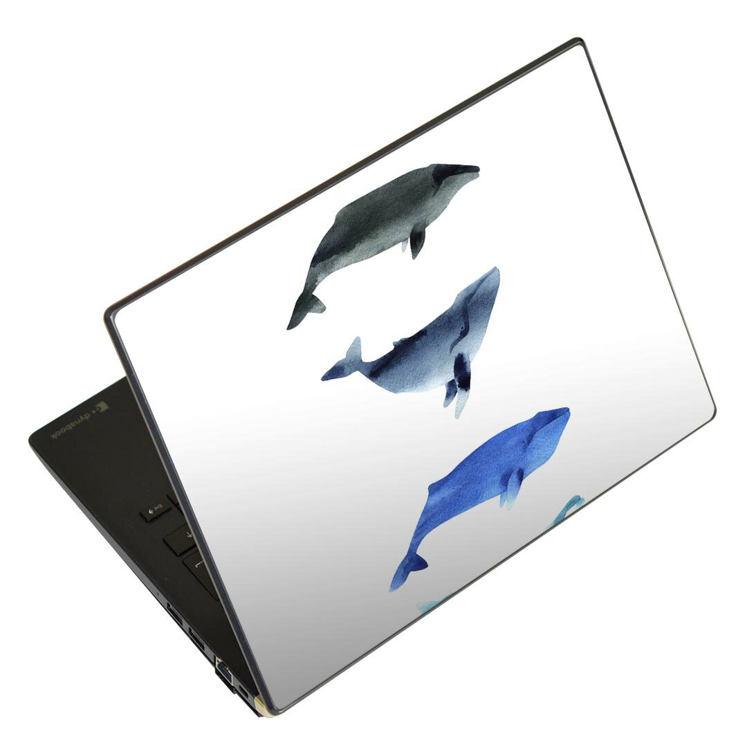 ノートパソコン スキンシール 17インチまで対応 汎用ステッカー 2枚セット LAVIE用 FMV用 LIFEBOOK用 Dynabook用 Lenovo用 Thinkbook用 IdeaPad用 HP用 Pavillon用 ENVY用 Elite用 Dell用 Vostro用 Inspiron用 VAIO用 015831 魚　海　くじら　シャチ