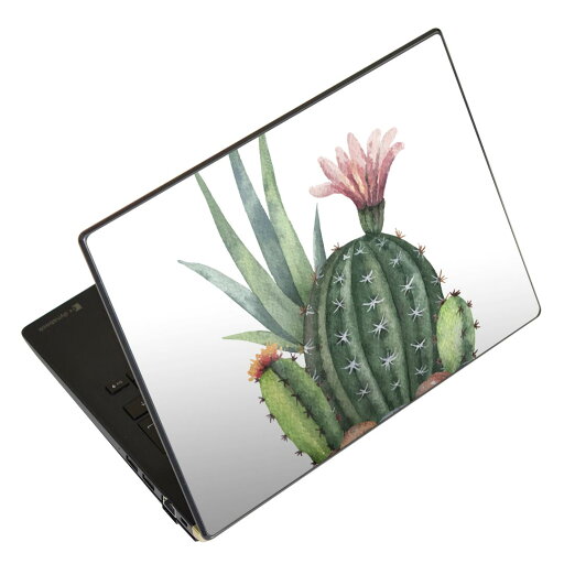 ノートパソコン スキンシール 13.3インチまで対応 汎用ステッカー 2枚セット LAVIE用 FMV用 LIFEBOOK用 Dynabook用 Lenovo用 Thinkbook用 IdeaPad用 HP用 Pavillon用 ENVY用 Elite用 Dell用 Vostro用 Inspiron用 VAIO用 015950 サボテン 多肉植物 ノートパソコン スキンシール 13.3インチまで対応 汎用ステッカー 2枚セット LAVIE用 FMV用 LIFEBOOK用 Dynabook用 Lenovo用 Thinkbook用 IdeaPad用 HP用 Pavillon用 ENVY用 Elite用 Dell用 Vostro用 Inspiron用 VAIO用 015950 サボテン 多肉植物
