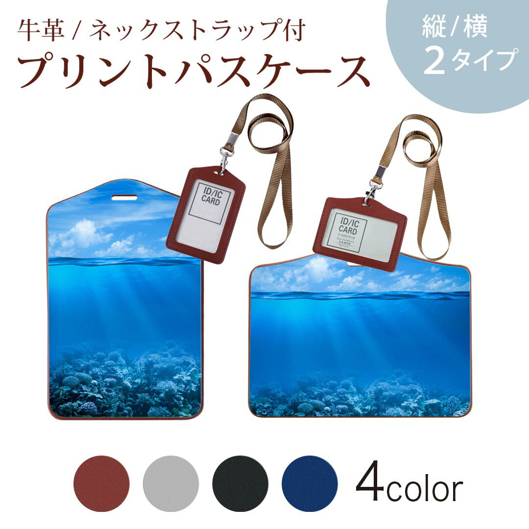 パスケース 定期入れ IC IDカード入れ グレー ブラック ブラウン ネックストラップ付 社員証入れ 通学 通勤 passcase 000071 海　空　景色