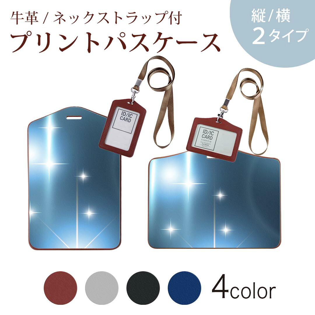 パスケース 定期入れ IC IDカード入れ グレー ブラック ブラウン ネックストラップ付 社員証入れ 通学 通勤 passcase 000419 キラキラ　光　青
