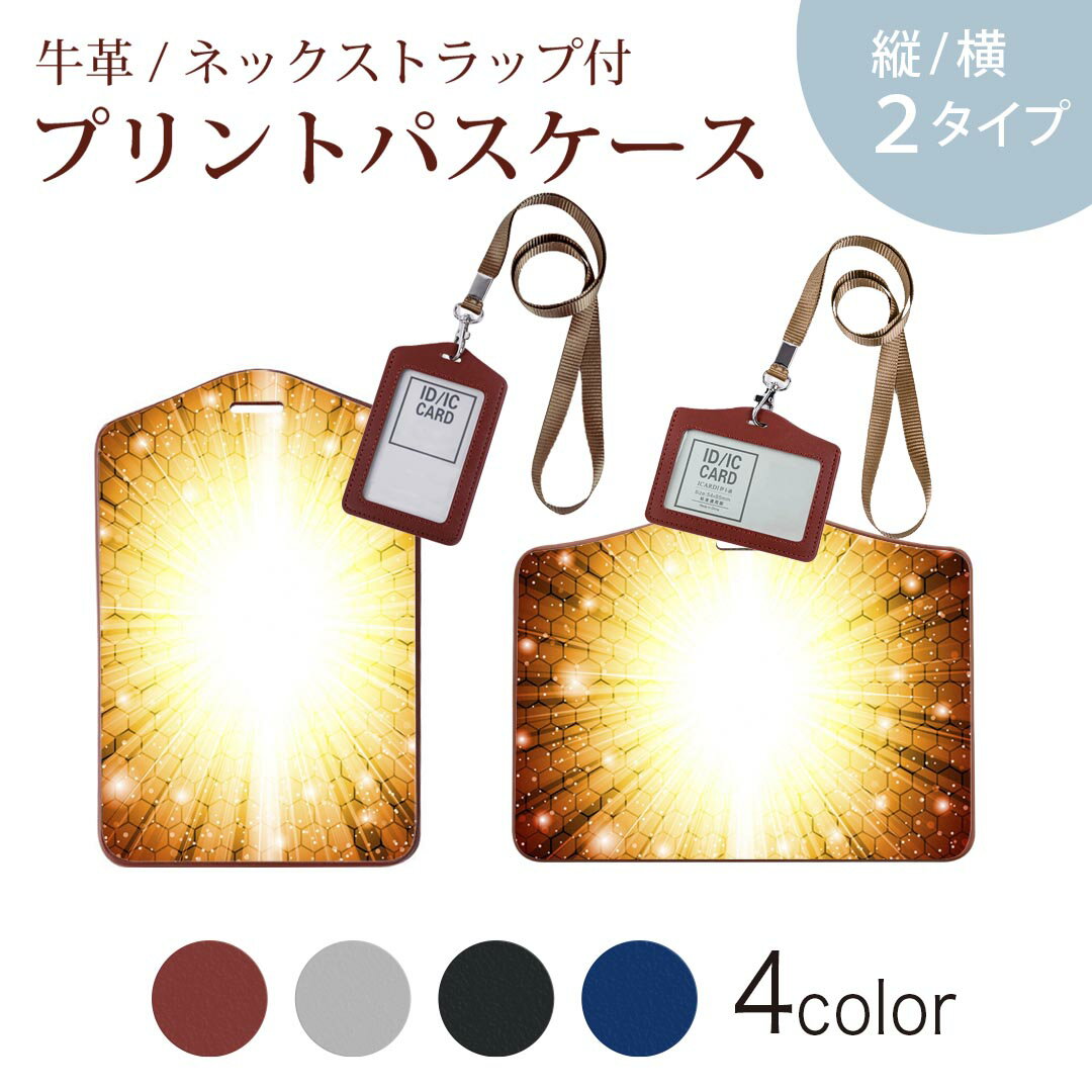 パスケース 定期入れ IC IDカード入れ グレー ブラック ブラウン ネックストラップ付 社員証入れ 通学 通勤 passcase 000420 キラキラ　光