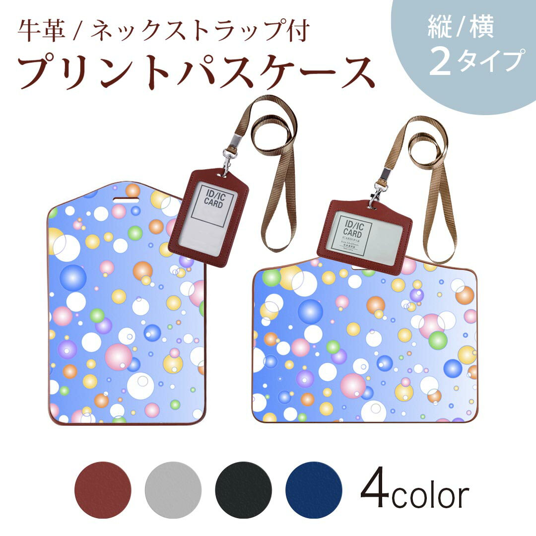 パスケース 定期入れ IC IDカード入れ グレー ブラック ブラウン ネックストラップ付 社員証入れ 通学 通勤 passcase 000459 バブル　レインボー