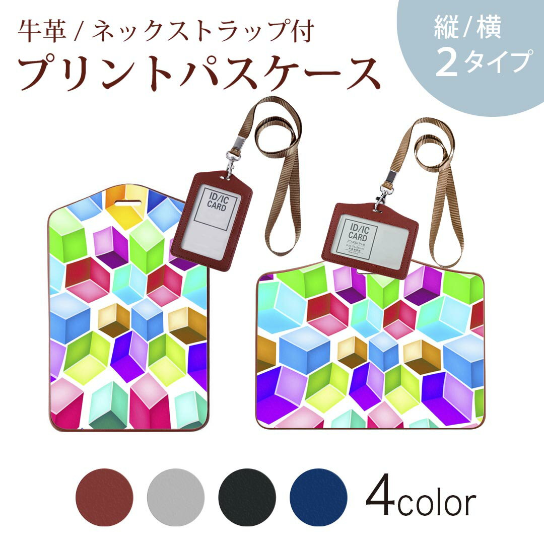 Commuter-Pass Holders, Pass Holders - パスケース 定期入れ IC IDカード入れ グレー ブラック ブラウン ネックストラップ付 社員証入れ 通学 通勤 passcase 000464 バブル　レインボー