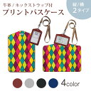 パスケース 定期入れ IC IDカード入れ グレー ブラック ブラウン ネックストラップ付 社員証入れ 通学 通勤 passcase 001004 カラフル ステンドグラス風|詳細画像