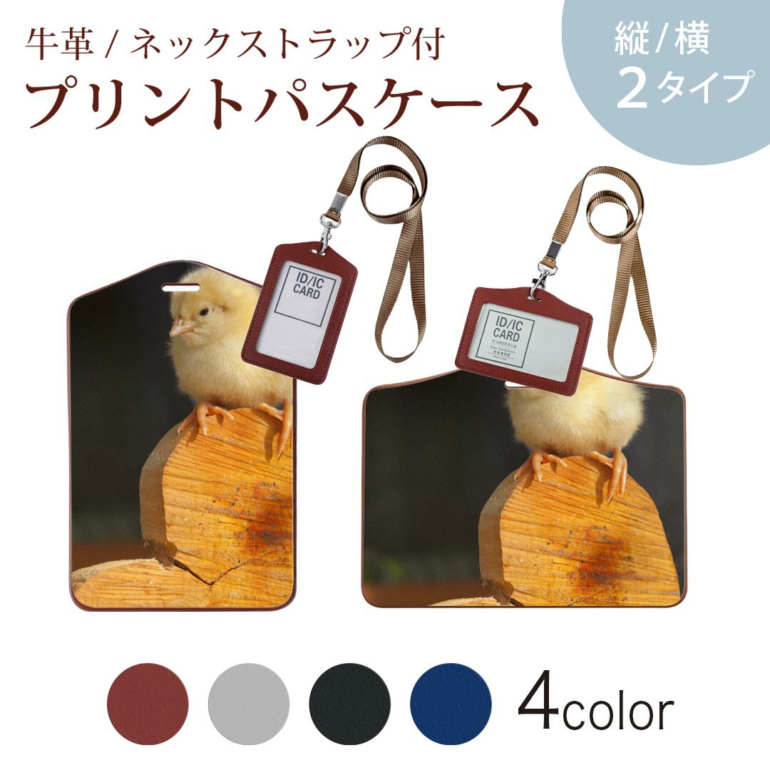 パスケース 定期入れ IC IDカード入れ グレー ブラック ブラウン ネックストラップ付 社員証入れ 通学 通勤 passcase 001101 ヒヨコ ハート