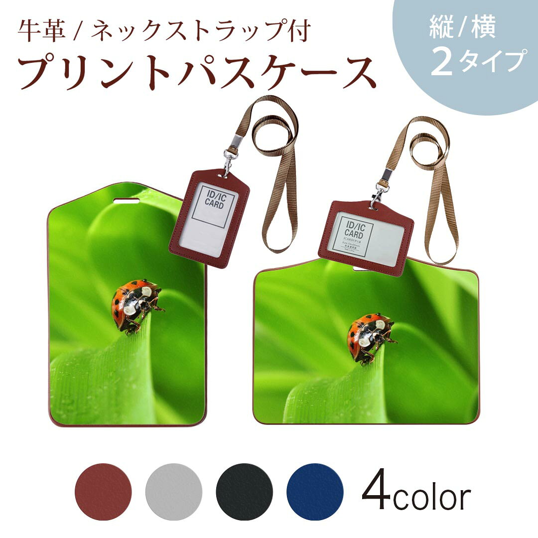 パスケース 定期入れ IC IDカード入れ グレー ブラック ブラウン ネックストラップ付 社員証入れ 通学 ..