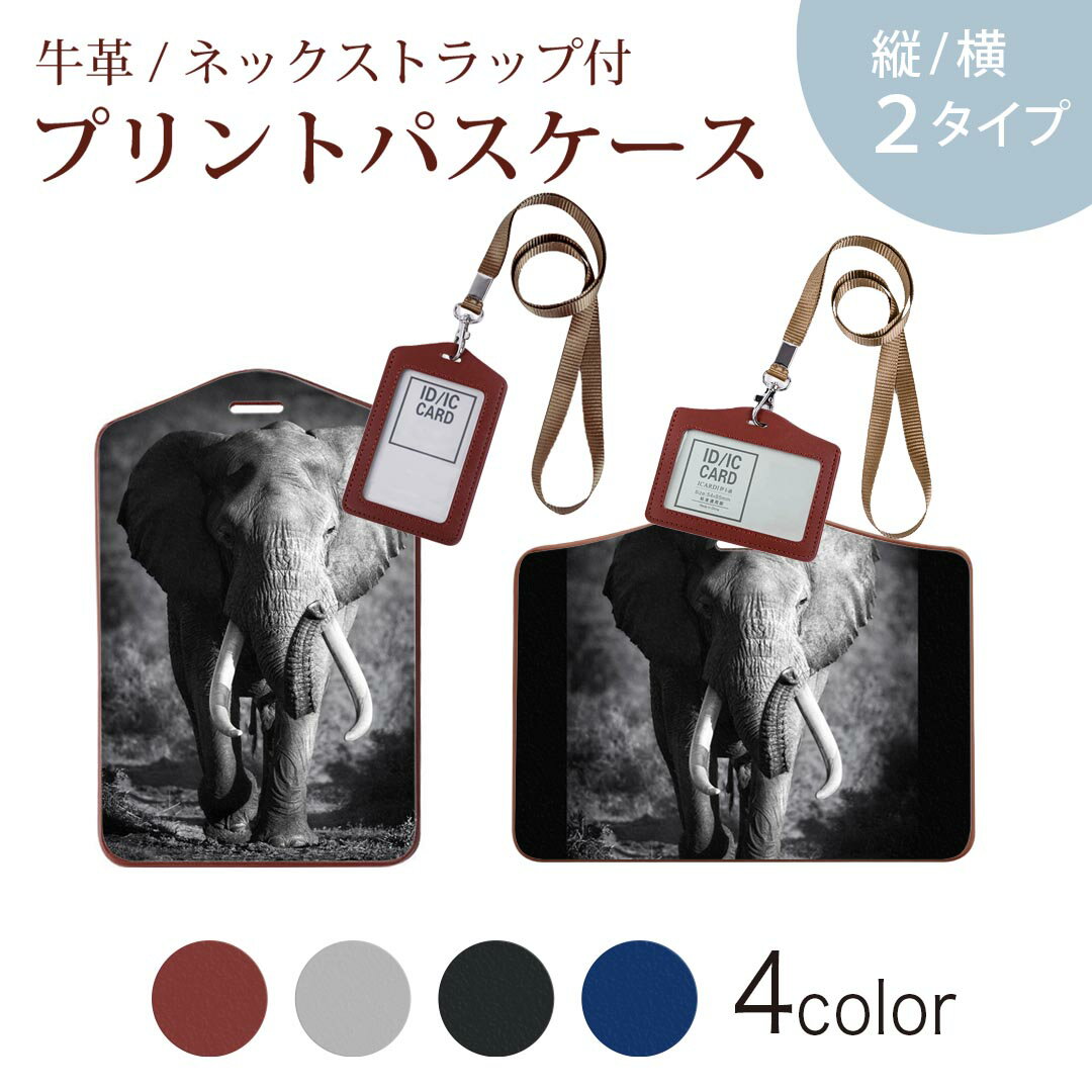 パスケース 定期入れ IC IDカード入れ グレー ブラック ブラウン ネックストラップ付 社員証入れ 通学 通勤 passcase 001211 ゾウ　動物　モノクロ