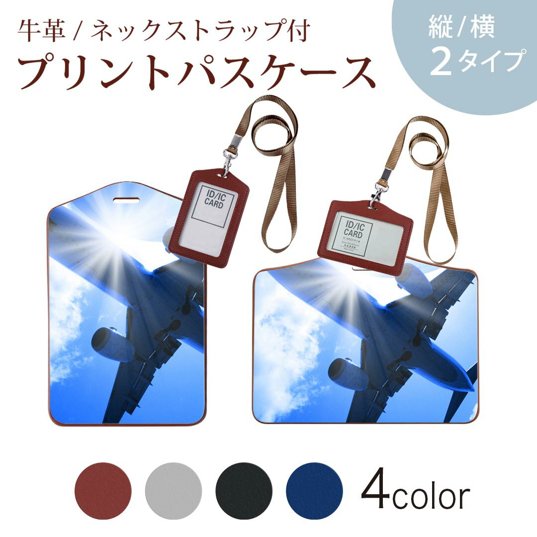 パスケース 定期入れ IC IDカード入れ グレー ブラック ブラウン ネックストラップ付 社員証入れ 通学 通勤 passcase 001574 飛行機　青空　地球