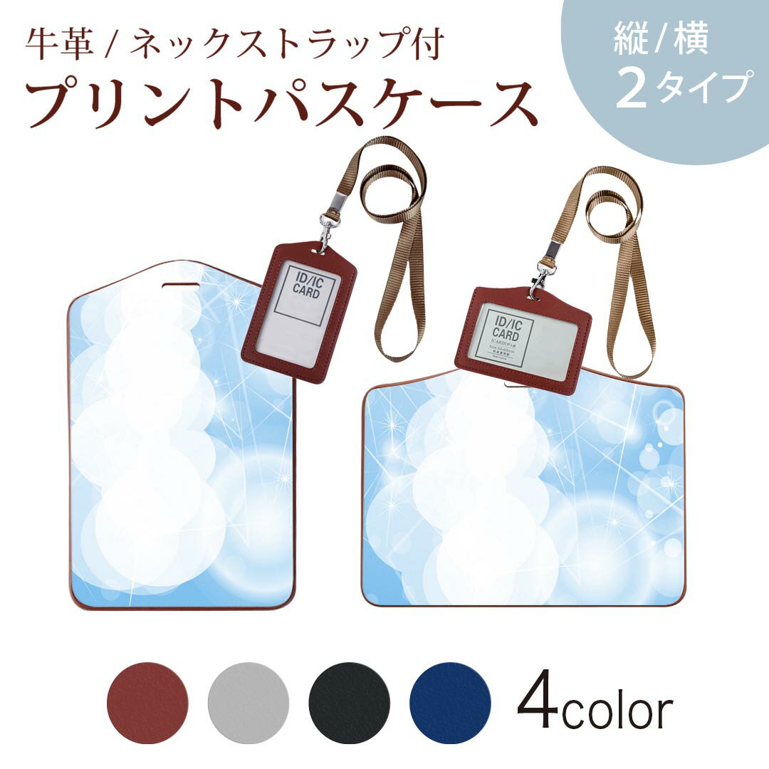 パスケース 定期入れ IC IDカード入れ グレー ブラック ブラウン ネックストラップ付 社員証入れ 通学 通勤 passcase 001760 キラキラ　雲