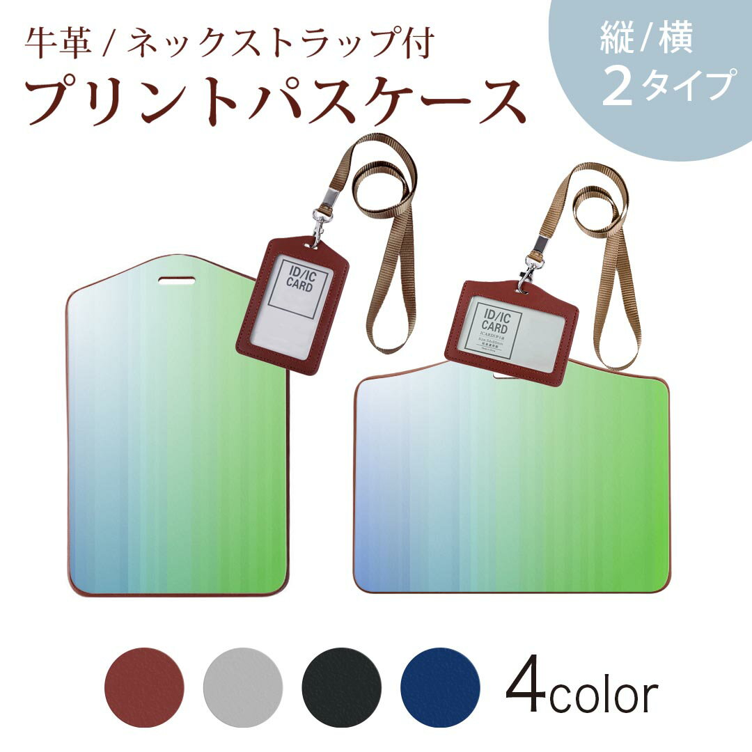 パスケース 定期入れ IC IDカード入れ グレー ブラック ブラウン ネックストラップ付 社員証入れ 通学 通勤 passcase 001830 シンプル　青　緑