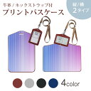 パスケース 定期入れ IC IDカード入れ グレー ブラック ブラウン ネックストラップ付 社員証入れ 通学 通勤 passcase 002014 ボーダー カラフル