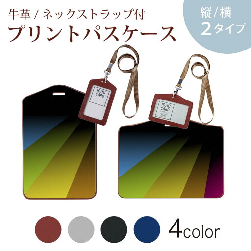 パスケース 定期入れ IC IDカード入れ グレー ブラック ブラウン ネックストラップ付 社員証入れ 通学 通勤 passcase 002077 カラフル シンプル パスケース 定期入れ IC IDカード入れ グレー ブラック ブラウン ネックストラップ付 社員証入れ 通学 通勤 passcase 002077 カラフル シンプル