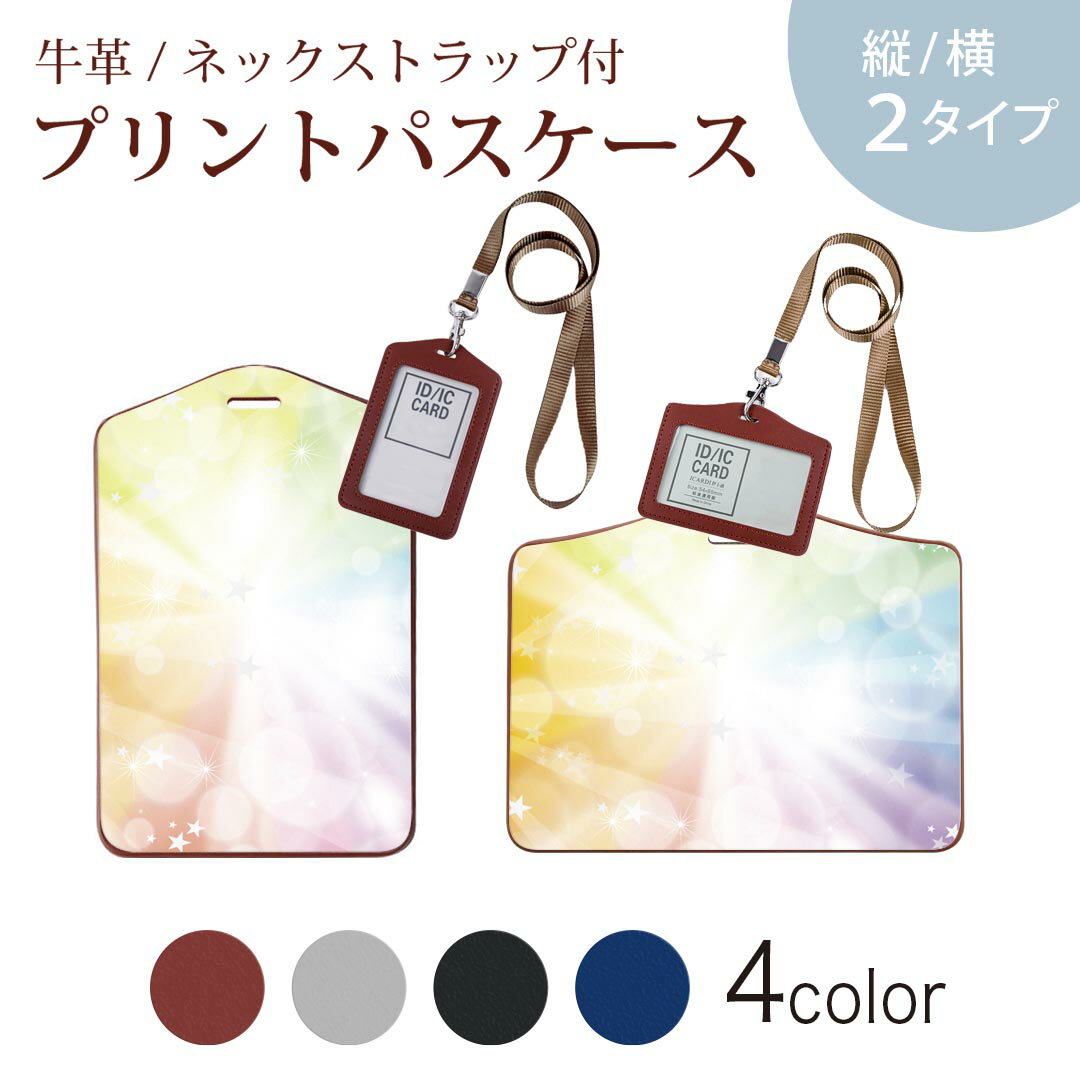 パスケース 定期入れ IC IDカード入れ グレー ブラック ブラウン ネックストラップ付 社員証入れ 通学 通勤 passcase 002101 カラフル　キラキラ