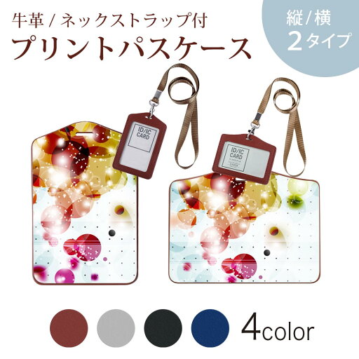 パスケース 定期入れ IC IDカード入れ グレー ブラック ブラウン ネックストラップ付 社員証入れ 通学 通勤 passcase 002118 カラフル キラキラ パスケース 定期入れ IC IDカード入れ グレー ブラック ブラウン ネックストラップ付 社員証入れ 通学 通勤 passcase 002118 カラフル キラキラ