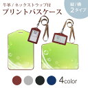 パスケース 定期入れ IC IDカード入れ グレー ブラック ブラウン ネックストラップ付 社員証入れ 通学 通勤 passcase 002167 しゃぼん玉 緑