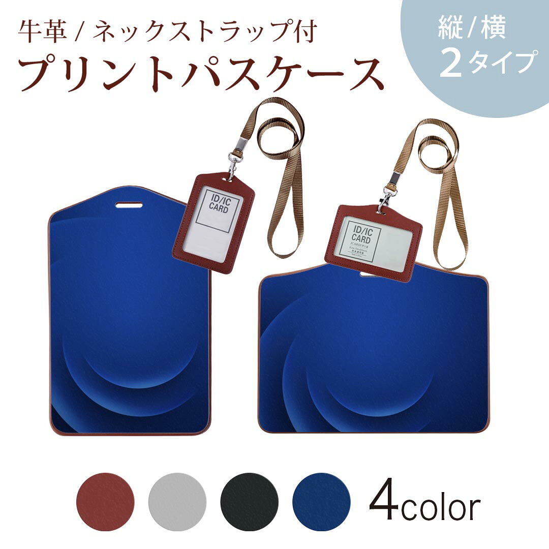 パスケース 定期入れ IC IDカード入れ グレー ブラック ブラウン ネックストラップ付 社員証入れ 通学 通勤 passcase 002230 シンプル　青