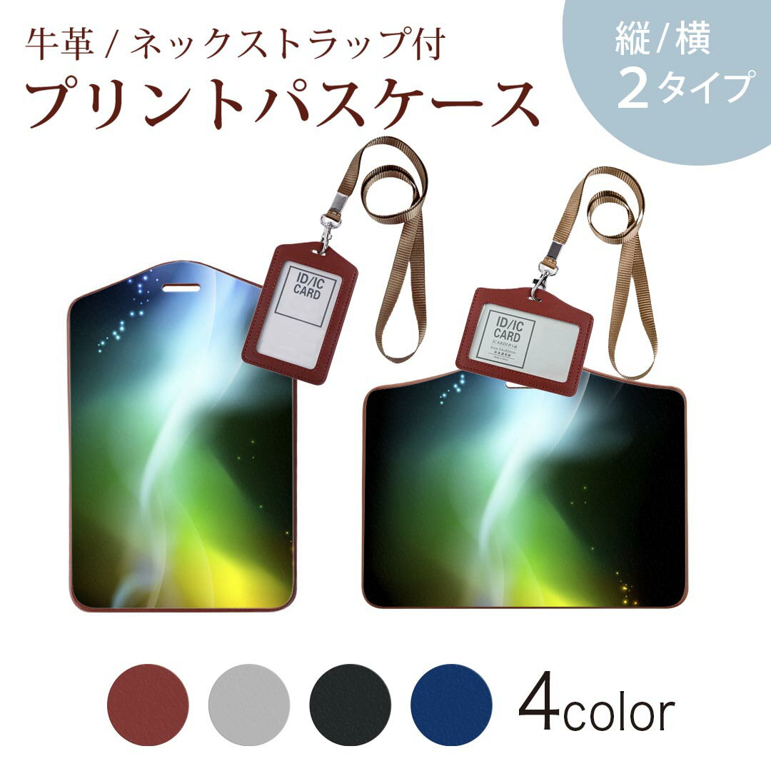 パスケース 定期入れ IC IDカード入れ グレー ブラック ブラウン ネックストラップ付 社員証入れ 通学 通勤 passcase 002294 カラフル　蛍光