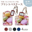 パスケース 定期入れ IC IDカード入れ グレー ブラック ブラウン ネックストラップ付 社員証入れ 通学 通勤 passcase 002600 マカロン カラフル 写真