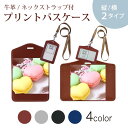 パスケース 定期入れ IC IDカード入れ グレー ブラック ブラウン ネックストラップ付 社員証入れ 通学 通勤 passcase 002672 マカロン カラフル 写真