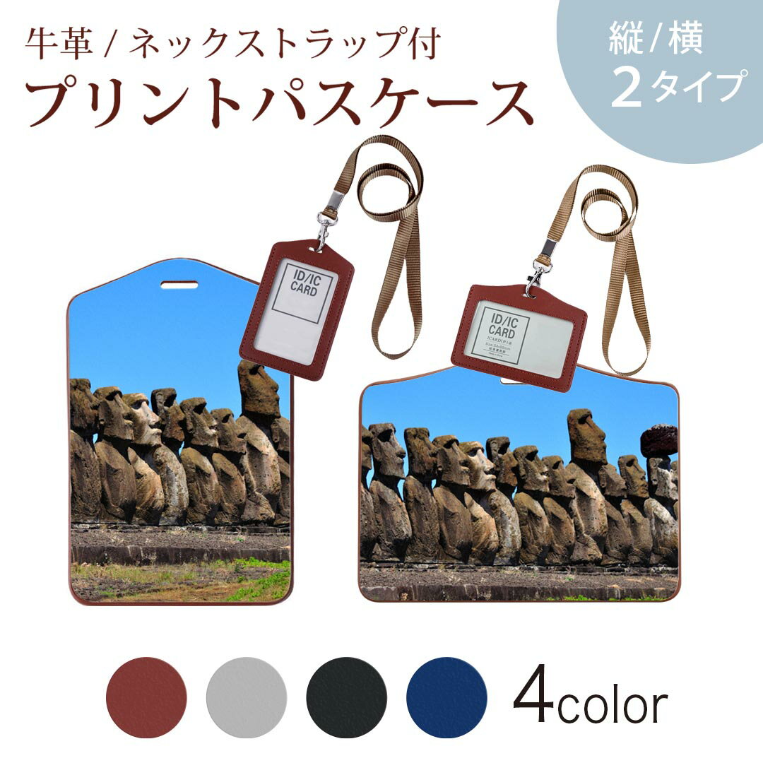 パスケース 定期入れ IC IDカード入れ グレー ブラック ブラウン ネックストラップ付 社員証入れ 通学 通勤 passcase 003284 クール 外国　写真　景色　風景