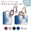 パスケース 定期入れ IC IDカード入れ グレー ブラック ブラウン ネックストラップ付 社員証入れ 通学 通勤 passcase 003388 スポーツ スポーツ 雪 写真(4)