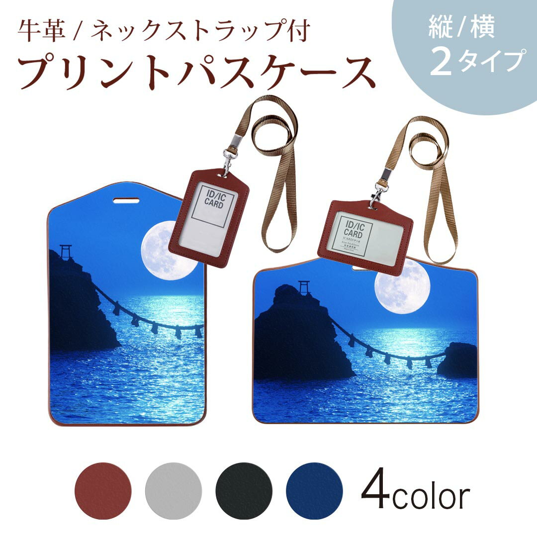 パスケース 定期入れ IC IDカード入れ グレー ブラック ブラウン ネックストラップ付 社員証入れ 通学 通勤 passcase 003405 クール 写真　景色　風景
