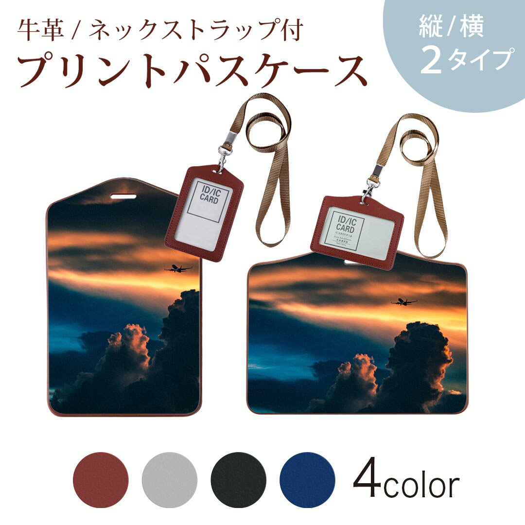 パスケース 定期入れ IC IDカード入れ グレー ブラック ブラウン ネックストラップ付 社員証入れ 通学 通勤 passcase 022844 写真　飛行機　空