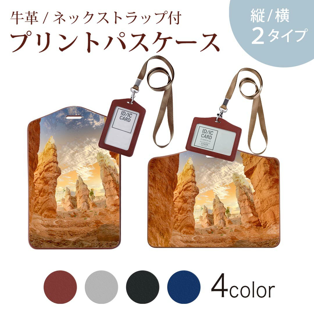 パスケース 定期入れ IC IDカード入れ グレー ブラック ブラウン ネックストラップ付 社員証入れ 通学 通勤 passcase 023068 岩　自然　景色