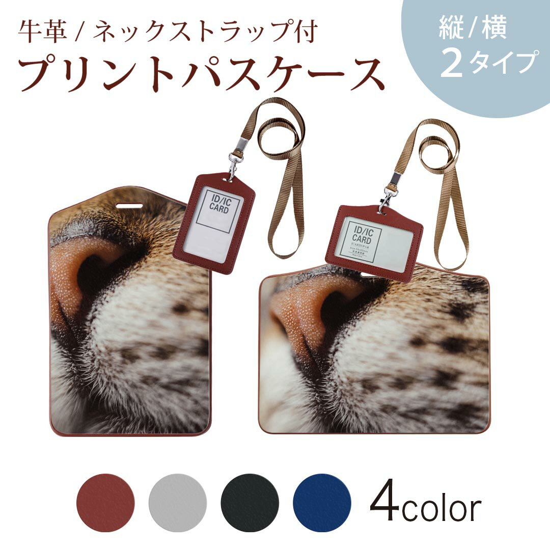 パスケース 定期入れ IC IDカード入れ グレー ブラック ブラウン ネックストラップ付 社員証入れ 通学 通勤 passcase 023091 猫　ねこ　動物　写真