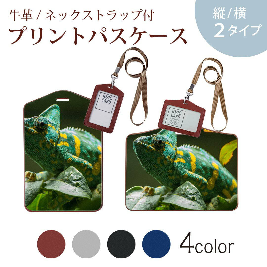 パスケース 定期入れ IC IDカード入れ グレー ブラック ブラウン ネックストラップ付 社員証入れ 通学 通勤 passcase 023102 イグアナ　写真　生き物
