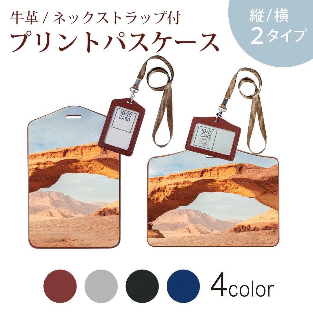 パスケース 定期入れ IC IDカード入れ グレー ブラック ブラウン ネックストラップ付 社員証入れ 通学 通勤 passcase 023201 岩　自然　景色
