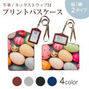 パスケース 定期入れ IC IDカード入れ グレー ブラック ブラウン ネックストラップ付 社員証入れ 通学 通勤 passcase 023244 たまご カラフル 写真