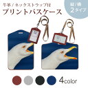 パスケース 定期入れ IC IDカード入れ グレー ブラック ブラウン ネックストラップ付 社員証入れ 通学 通勤 passcase 023414 鳥 生き物 写真(4)