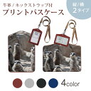 パスケース 定期入れ IC IDカード入れ グレー ブラック ブラウン ネックストラップ付 社員証入れ 通学 通勤 passcase 023560 ミーアキャット 動物 写真
