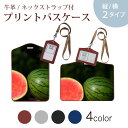 パスケース 定期入れ IC IDカード入れ グレー ブラック ブラウン ネックストラップ付 社員証入れ 通学 通勤 passcase 023561 スイカ 果物 フルーツ