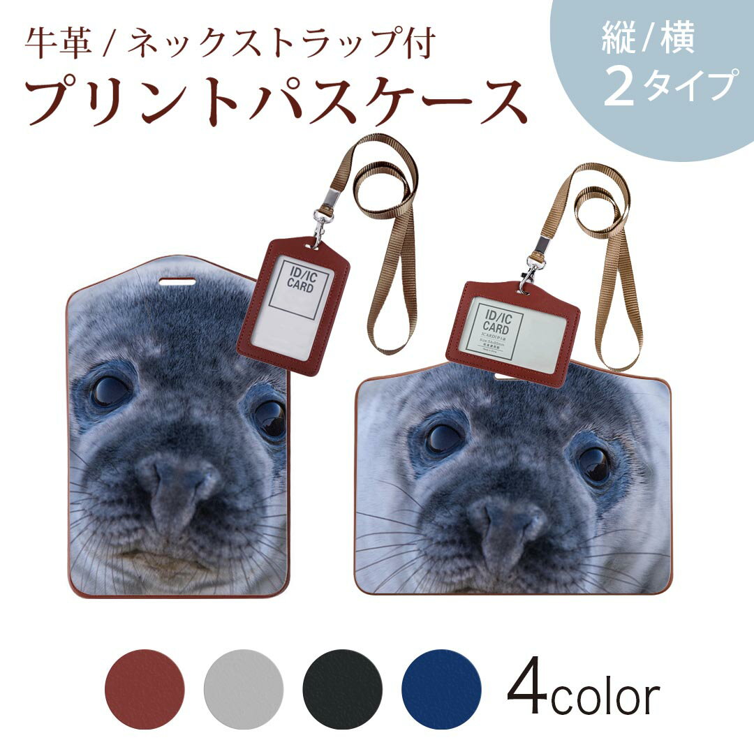 パスケース 定期入れ IC IDカード入れ グレー ブラック ブラウン ネックストラップ付 社員証入れ 通学 通勤 passcase 023781 あざらし　動物