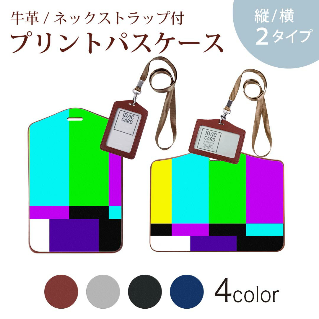 楽天スマコレパスケース 定期入れ IC IDカード入れ グレー ブラック ブラウン ネックストラップ付 社員証入れ 通学 通勤 passcase 023808 テレビエラー　カラーバー