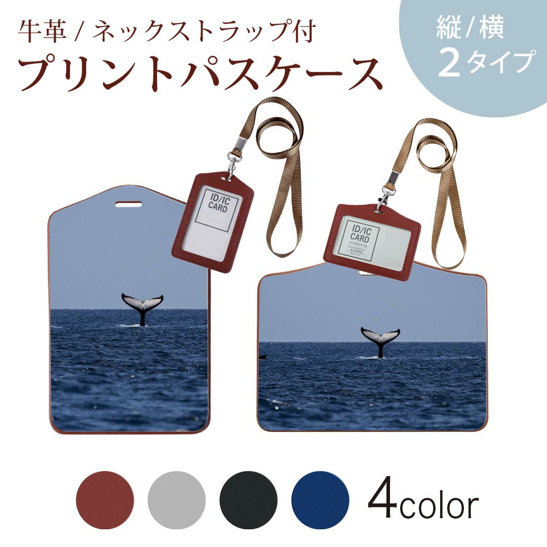 パスケース 定期入れ IC IDカード入れ グレー ブラック ブラウン ネックストラップ付 社員証入れ 通学 通勤 passcase 023965 くじら　写真　海