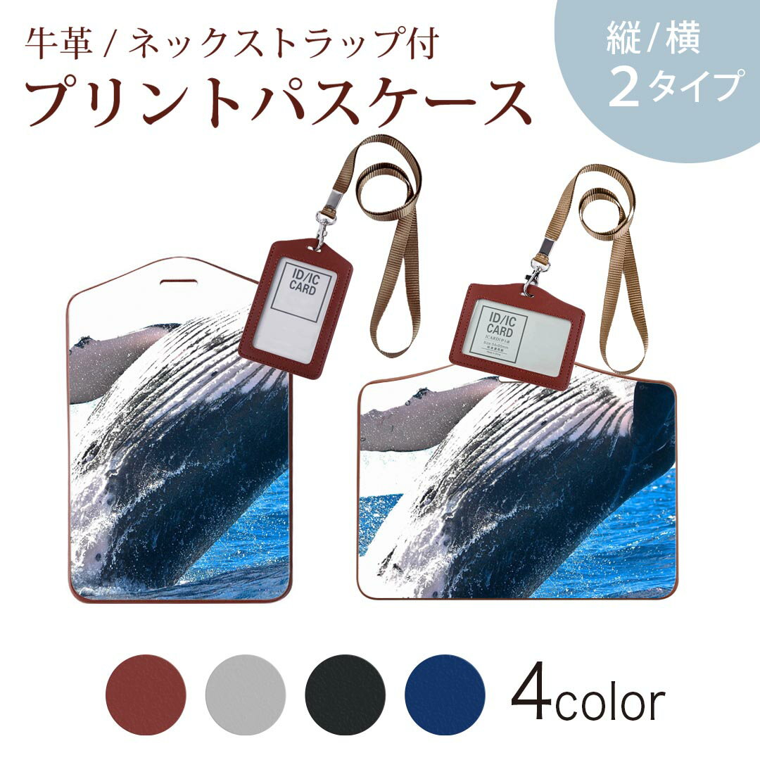 パスケース 定期入れ IC IDカード入れ グレー ブラック ブラウン ネックストラップ付 社員証入れ 通学 通勤 passcase 023966 くじら　写真　海
