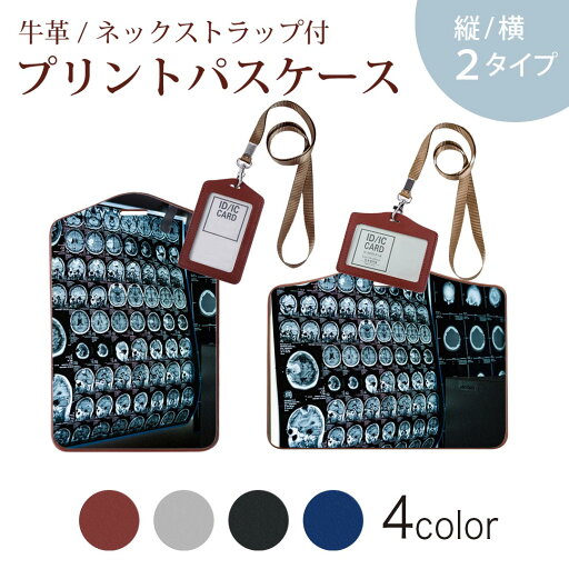 パスケース 定期入れ IC IDカード入れ グレー ブラック ブラウン ネックストラップ付 社員証入れ 通学 通勤 passcase 023989 レントゲン 写真 パスケース 定期入れ IC IDカード入れ グレー ブラック ブラウン ネックストラップ付 社員証入れ 通学 通勤 passcase 023989 レントゲン 写真