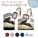 パスケース 定期入れ IC IDカード入れ グレー ブラック ブラウン ネックストラップ付 社員証入れ 通学 通勤 passcase 025751 煙突 煙 雲