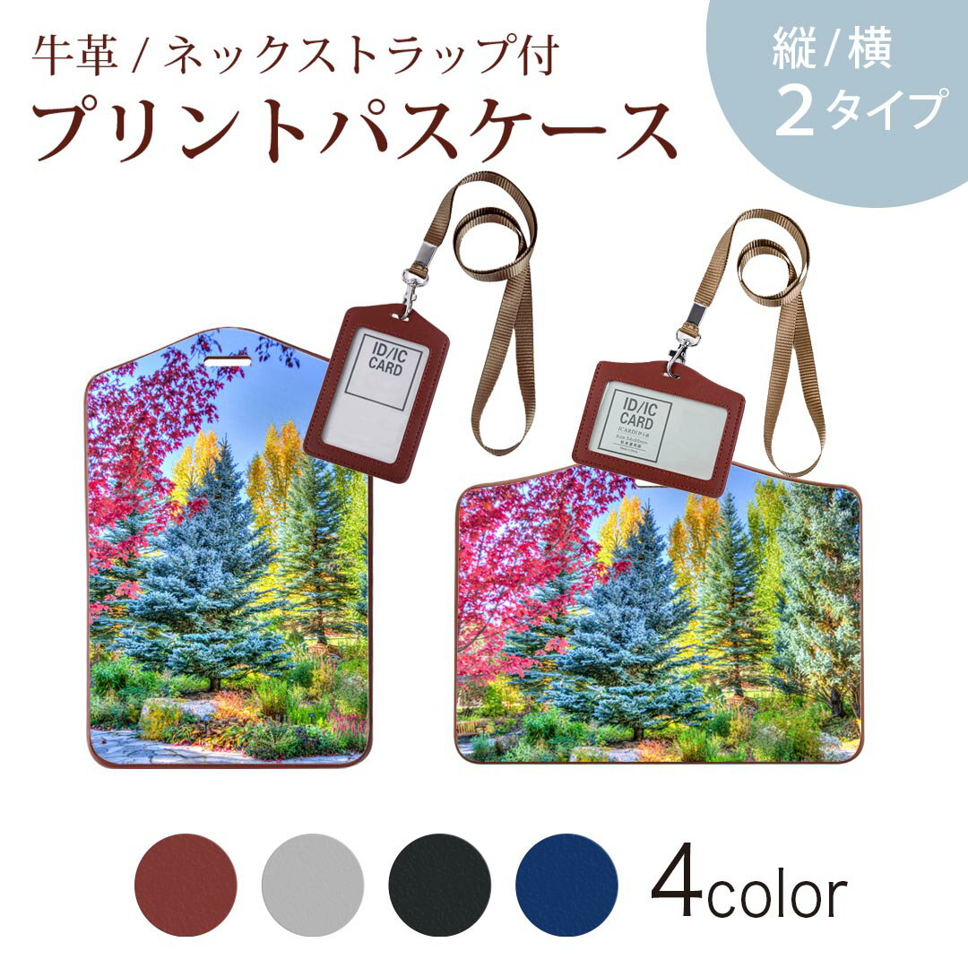 Other - パスケース 定期入れ IC IDカード入れ グレー ブラック ブラウン ネックストラップ付 社員証入れ 通学 通勤 passcase 025811 景色　木　自然